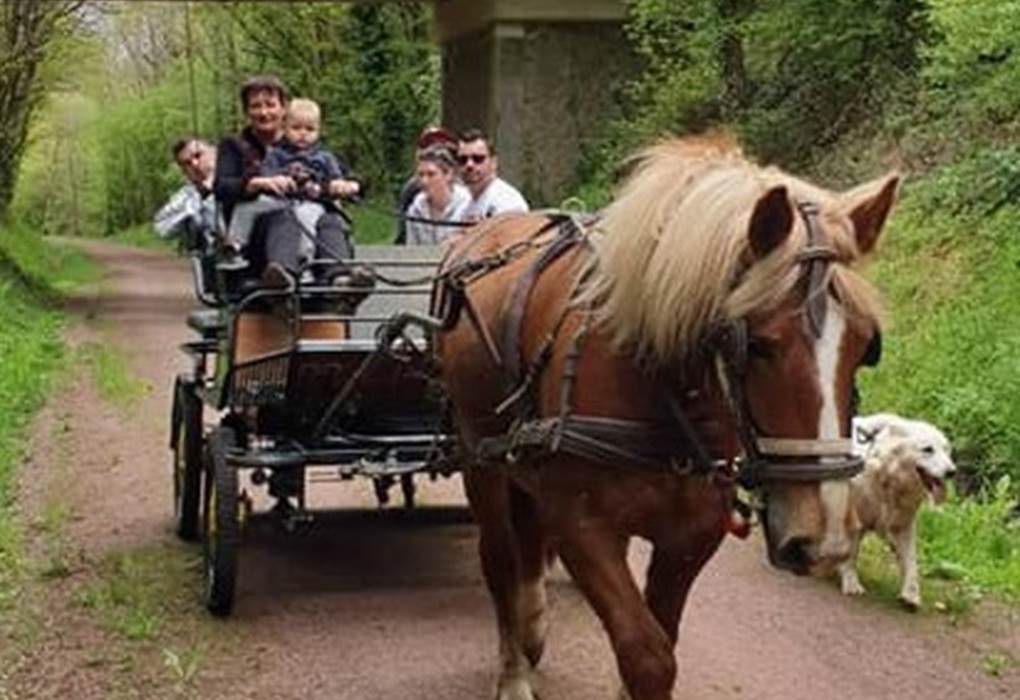 Promenade pour 2 personnes en fauteuils roulants et 3 autres personnes