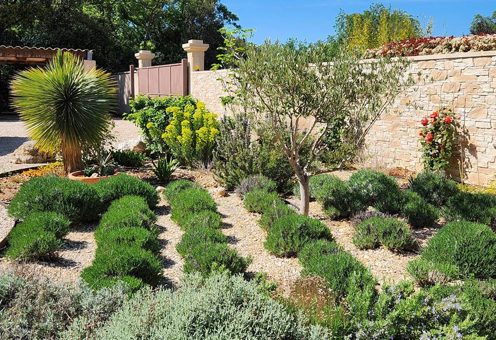 24 jardinet de lavandes