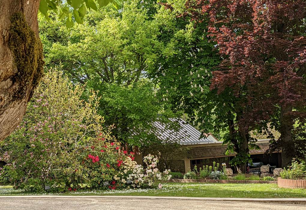 PXL_20220504_154504672