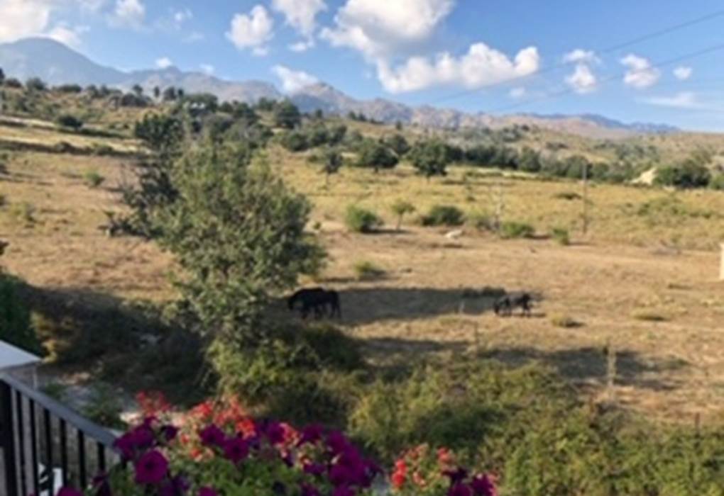 chambrehotelacquavivacalacuccianiolumontagnecorsecorte