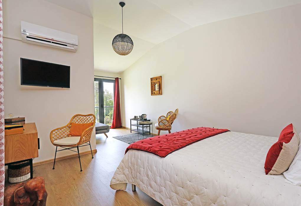 Esprit du Clain (39)BD