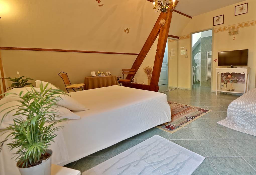 Chambre double Confort Le Pas de l' Âne Saint Ondras