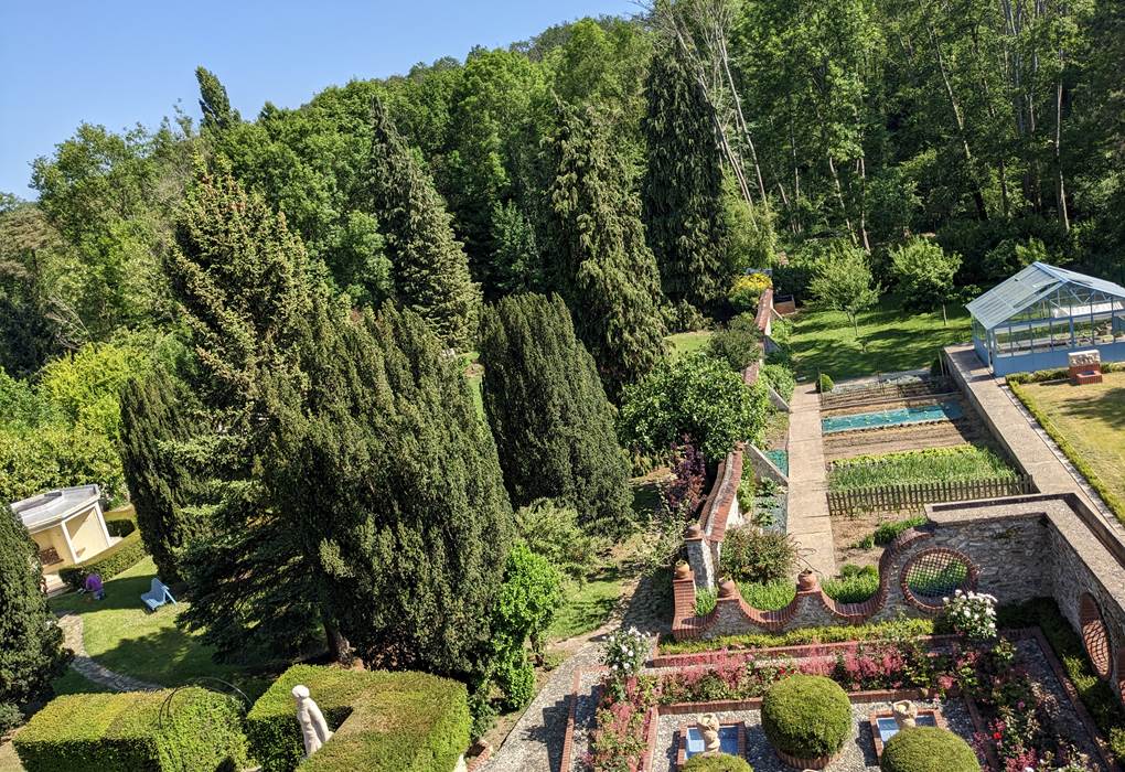 PXL_20230601_083523722.MP