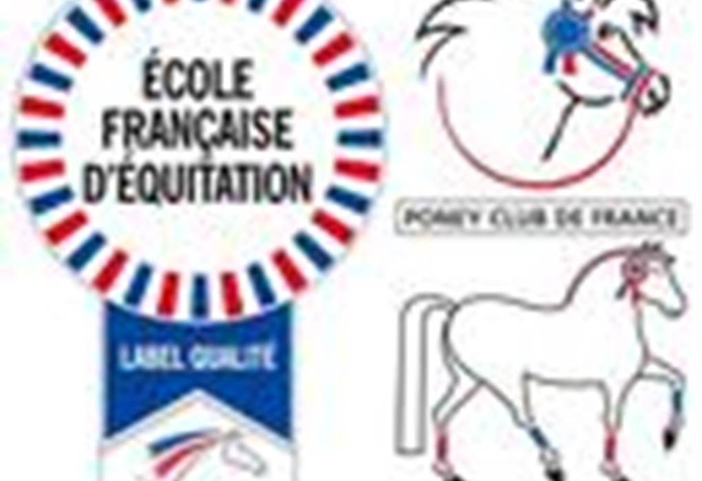 Label-EFE_listitem_no_crop