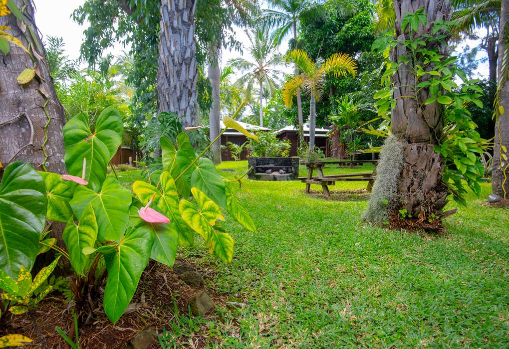 JARDIN AVEC LE BUNGALOW ALAMANDA AU FOND