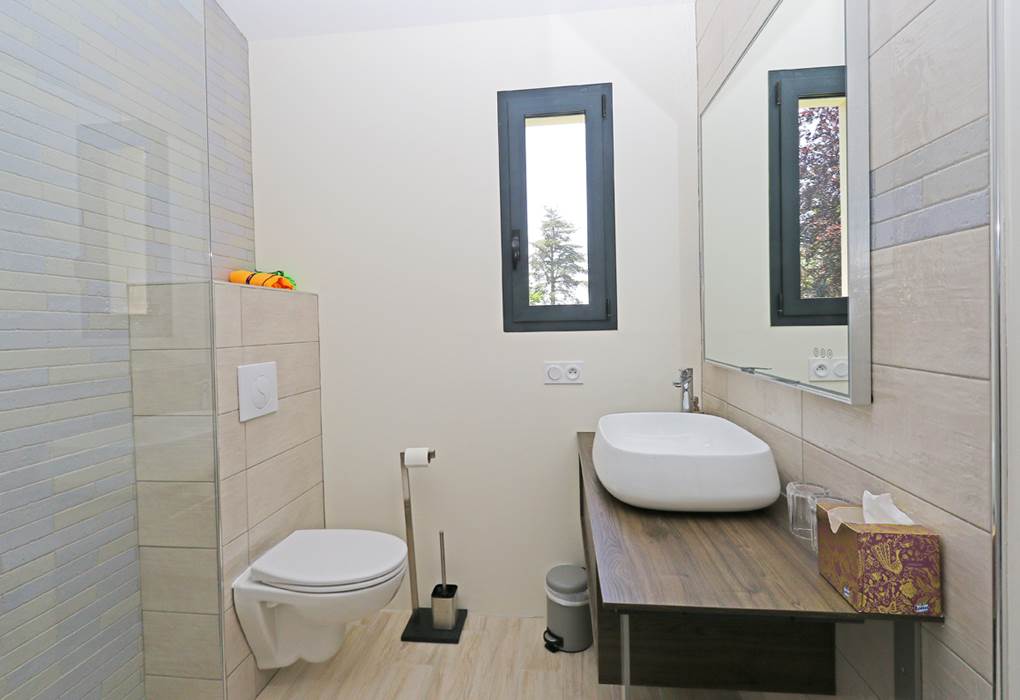 Esprit du Clain (36)BD