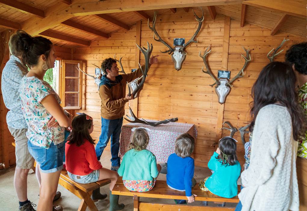 cabane aux trophés 2
