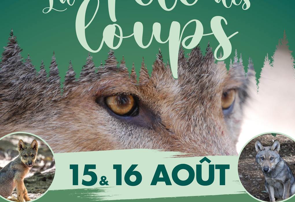 Affiche-fete-des-loups-2026 (1)