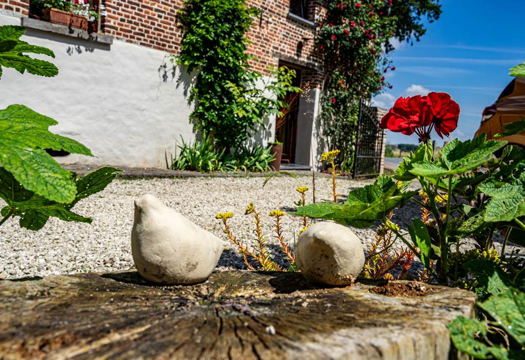 Bienvenue welkom - welcome willkommen bienvenido Benvenuto