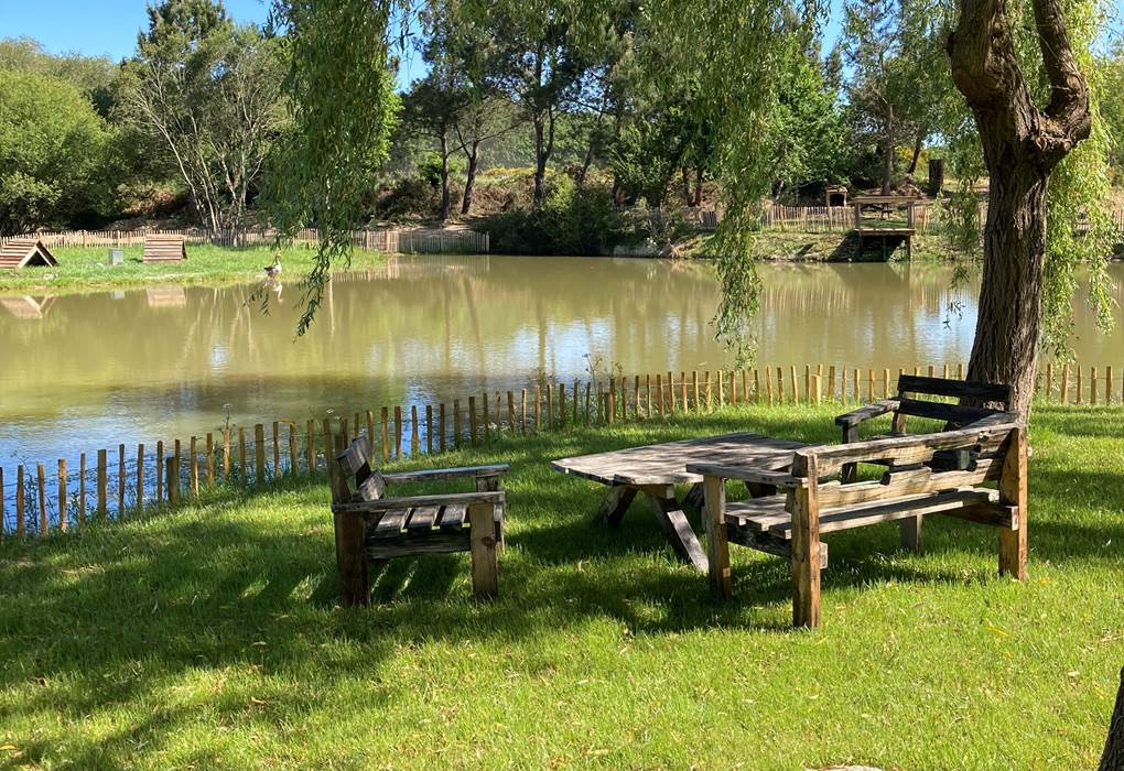 Ecolodge Charles Ashton salon jardin