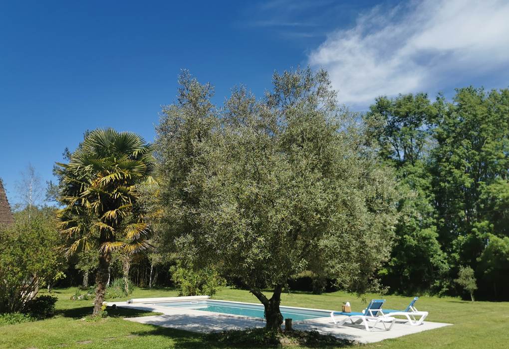 Piscine d'eau saléé, Vallée de la Dordogne