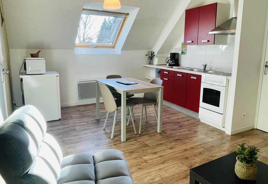 Appartement Orchidée - cuisine