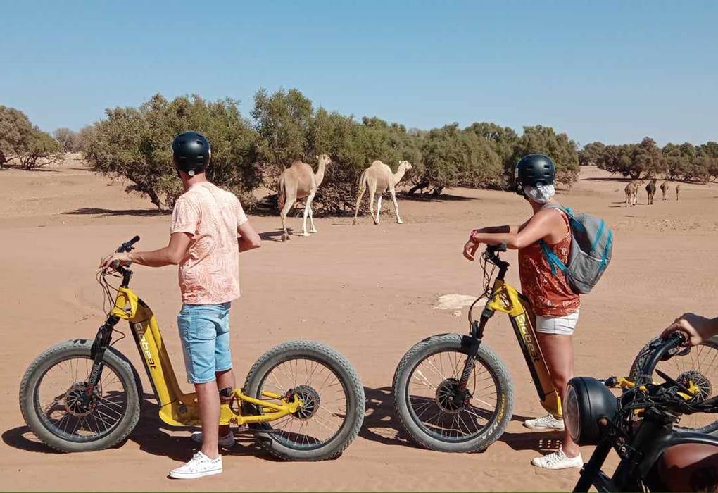 420c4f4e-56b3-438a-86c8-d7ebfb176d63