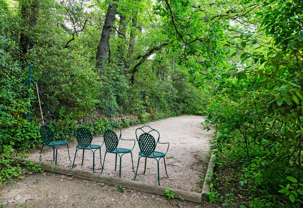 BOULODROME sous les chênes