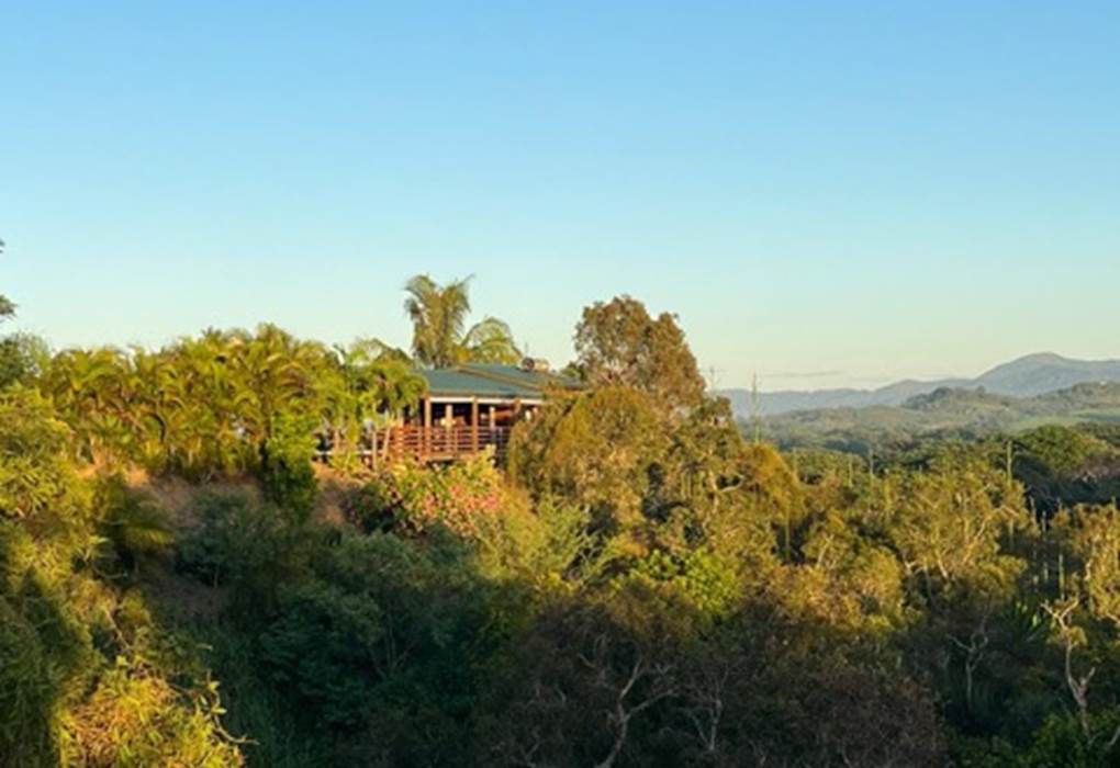 734ff971-1d5b-4714-b908-db4b404dd4a2 Medium