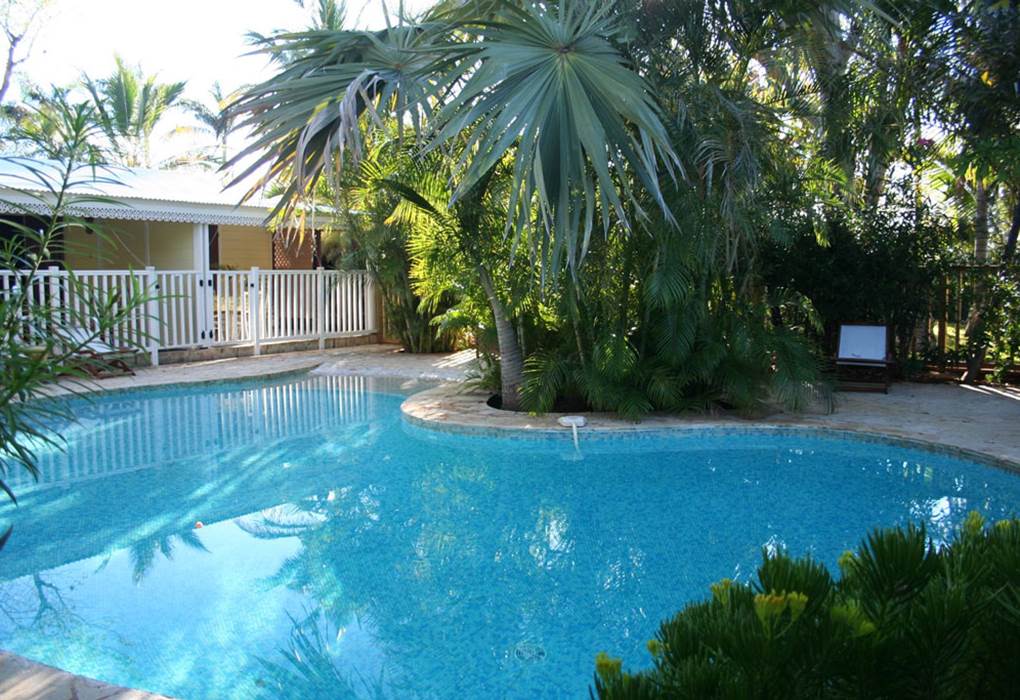 PISCINE AU MILIEU D'UNE VEGETATION TROPICALE