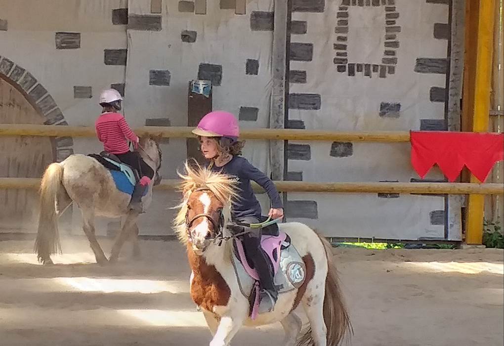 cours/stages equestres