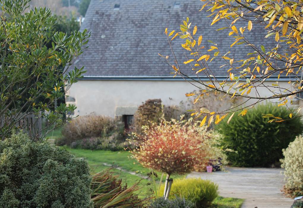 Gouelet-Ker, la jardin derrière  le gîte ou chambre d'hôtes