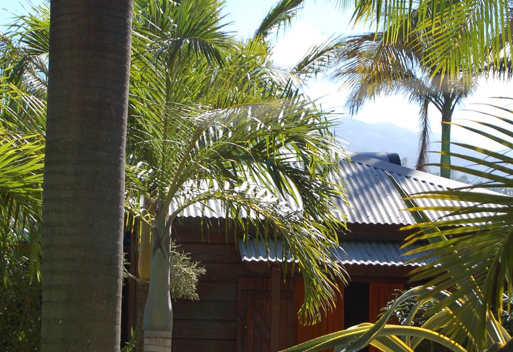VUE DU BUNGALOW DEPUIS LE JARDIN