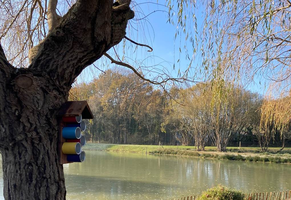 Eco-responsable Ecolodge Charles Ashton