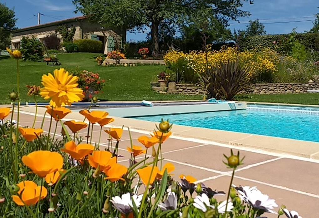 La piscine au milieu des fleurs