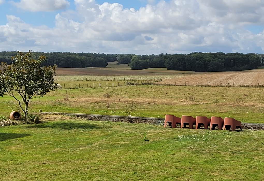 vue sur la nature 