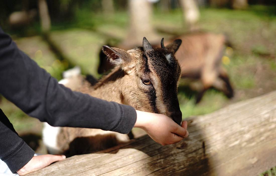 de nouvelles sensations