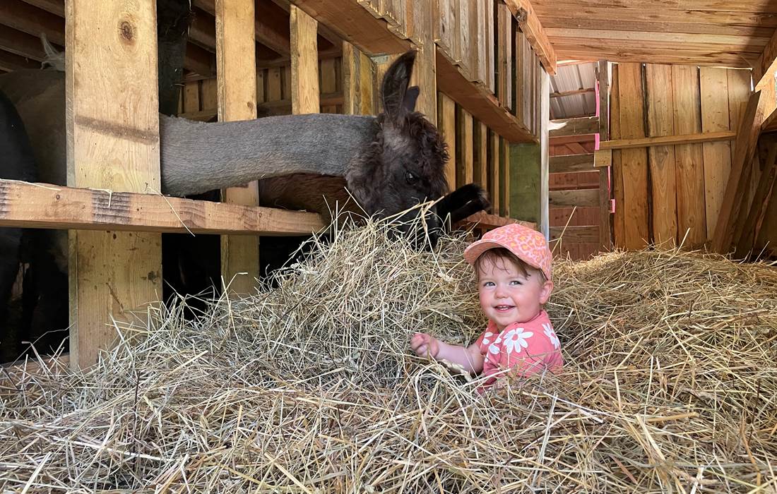 VIVRE DE NOUVELLES EXPERIENCES