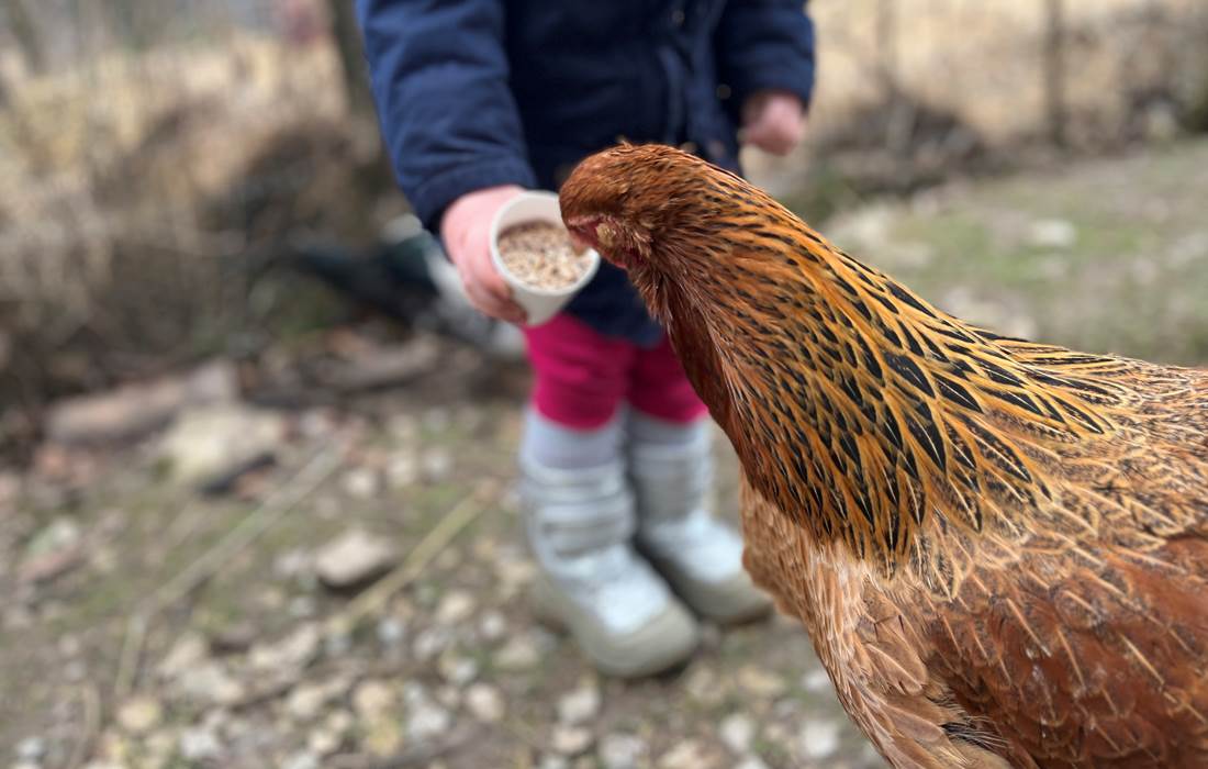 NOURRIR LA BASSE COURS