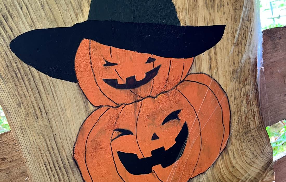 Citrouille sortie enfant lama loisir