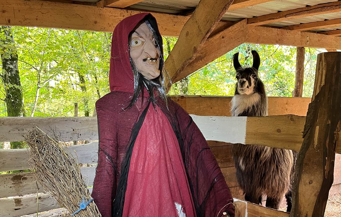 La maitresse des potions