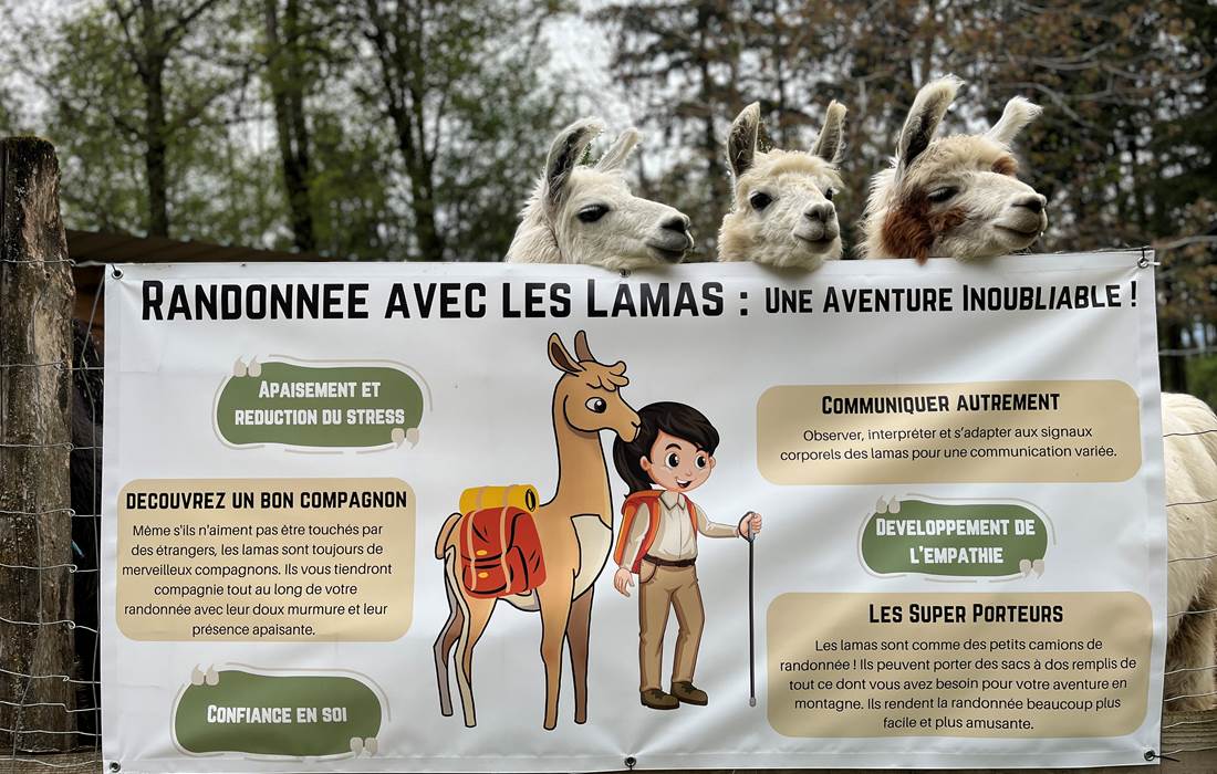 Des activitées adaptées