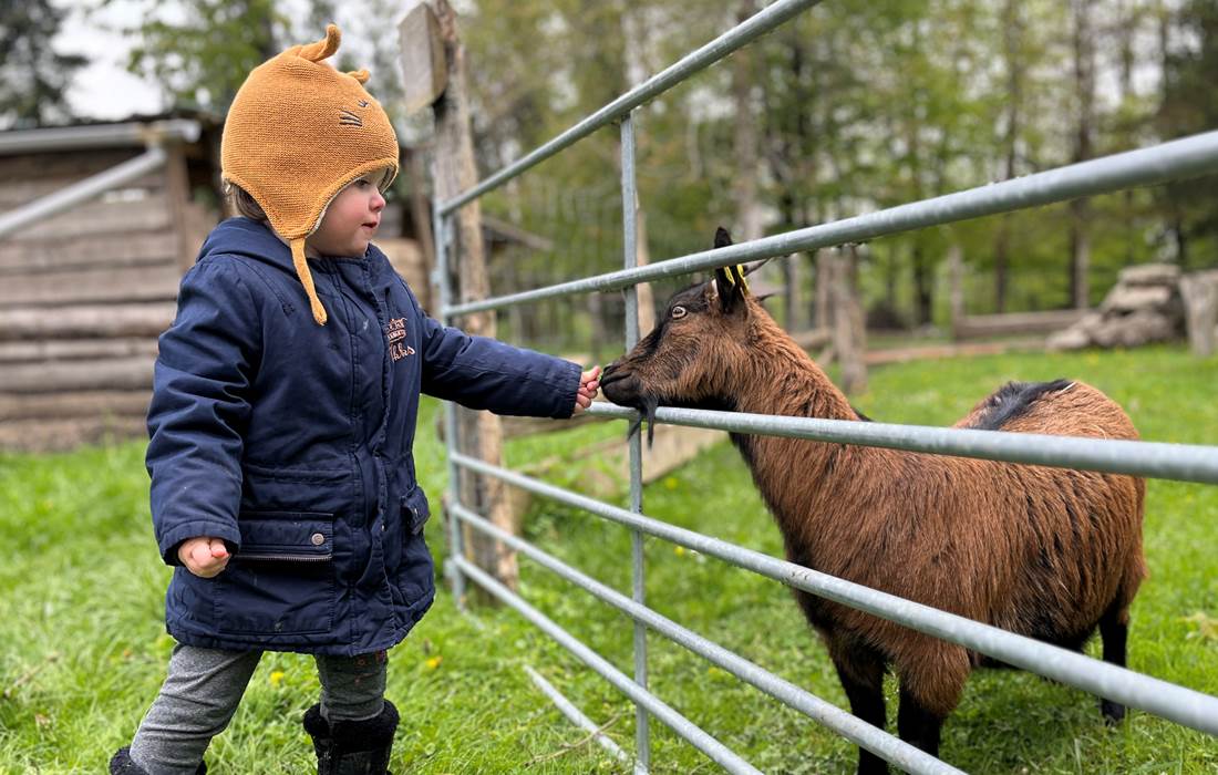 NOURRIR ANIMAUX