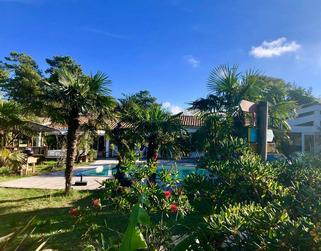 le-jardin-vu-du-sauna.