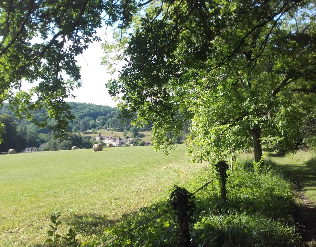 Prairie vue de La Petite Cabane perchée INYAQAB Cause de Clérans Dordogne Périgord