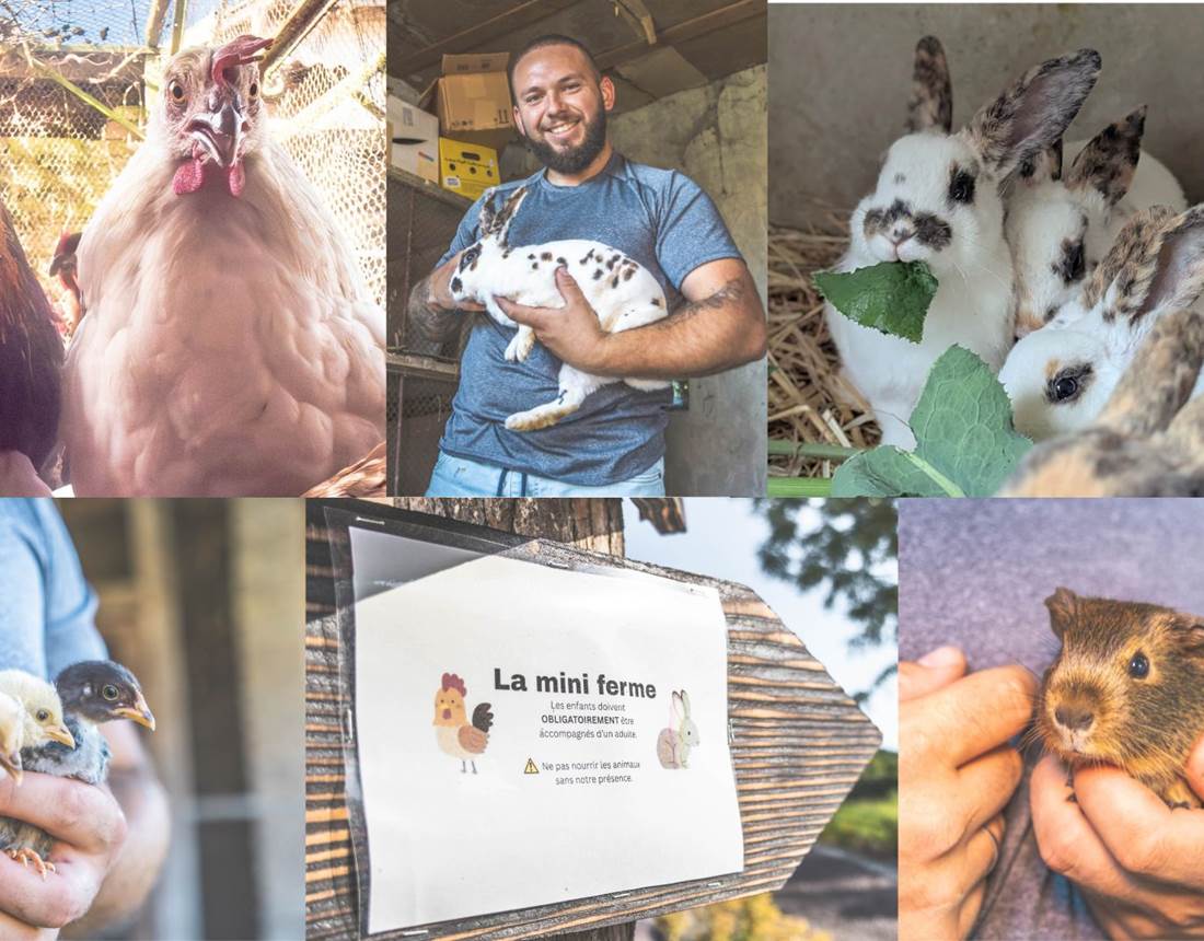 la-mini-ferme