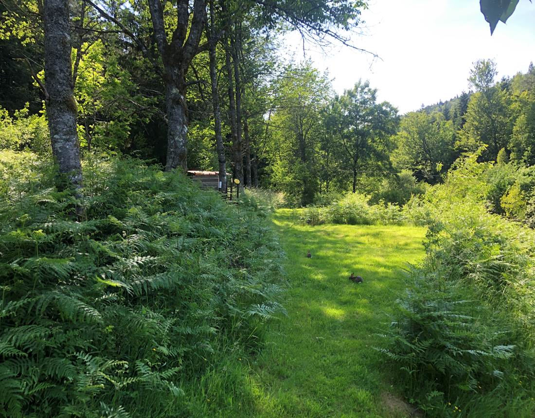 camping ombragé