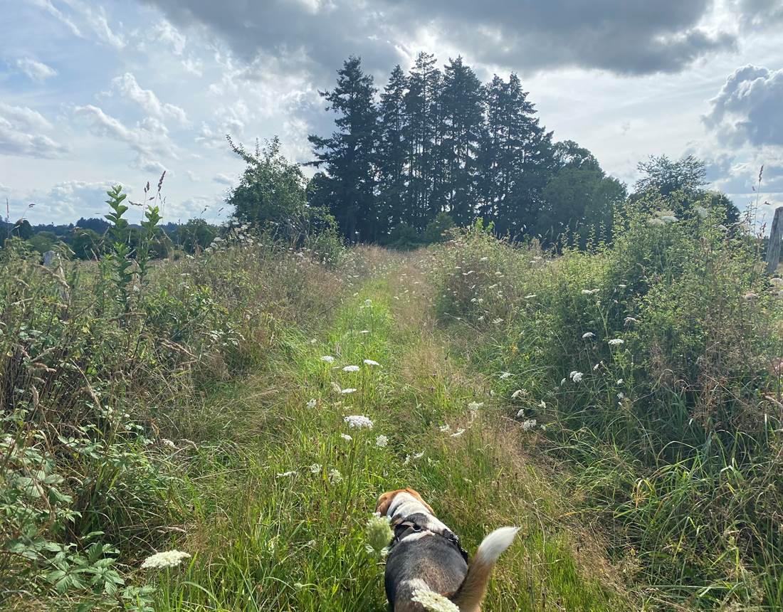 Les terres de la chouette, de belles balades aux alentours