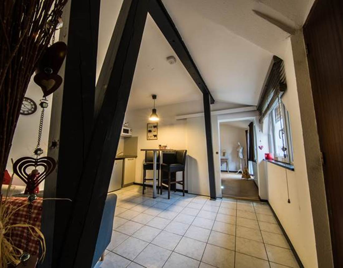 Saint Martin-Vauban-Neuf Brisach01