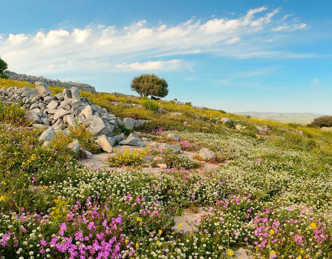 Villa-Dolce-Valle-paysage-1