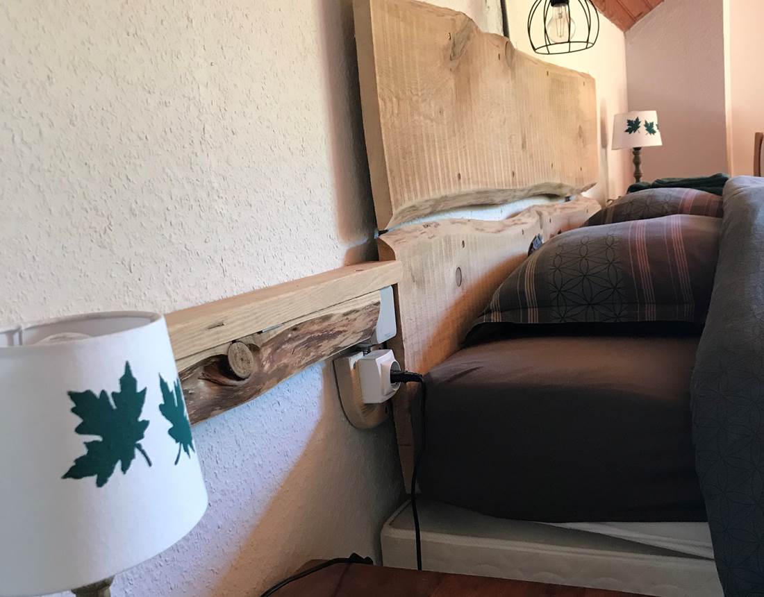 du bois de nos forêts