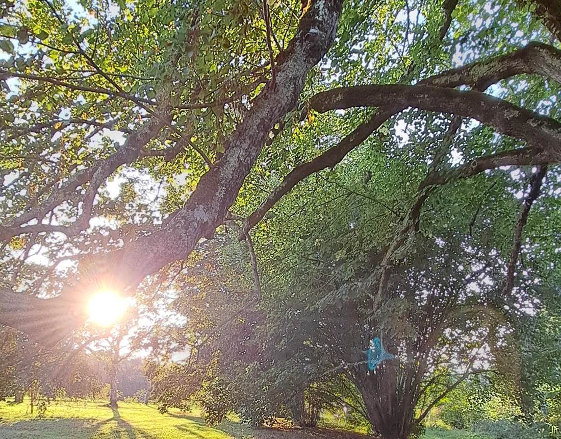 460049850_1040832811165408_2013967000512404889_n