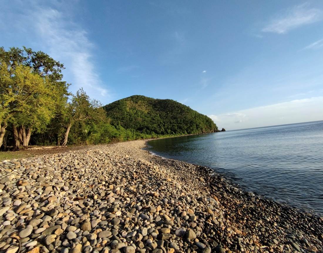 Capture d’e´cran 2026-01-14 a` 12.52.23