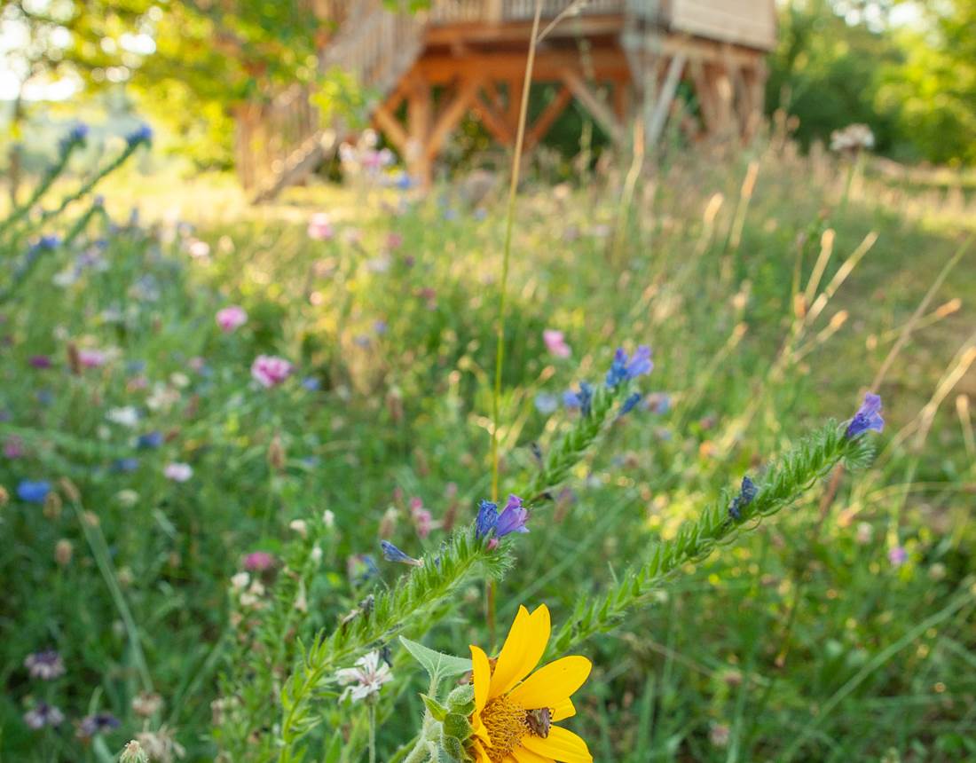 La Petite Cabane perchée INYAQAB Cause de Clérans Dordogne Périgord