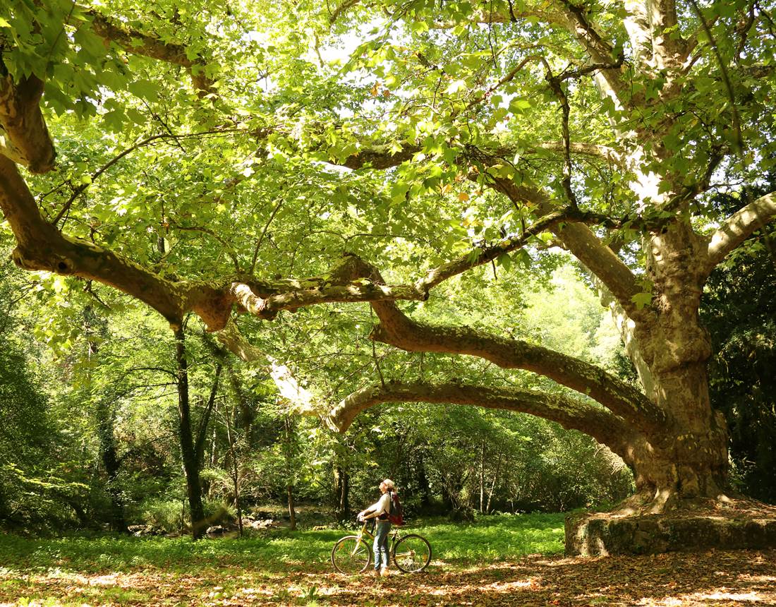 cheronnac_2019_Credit-M_Turin-CRTNA-PNR_Perigord-Limousin-peyrassoulat