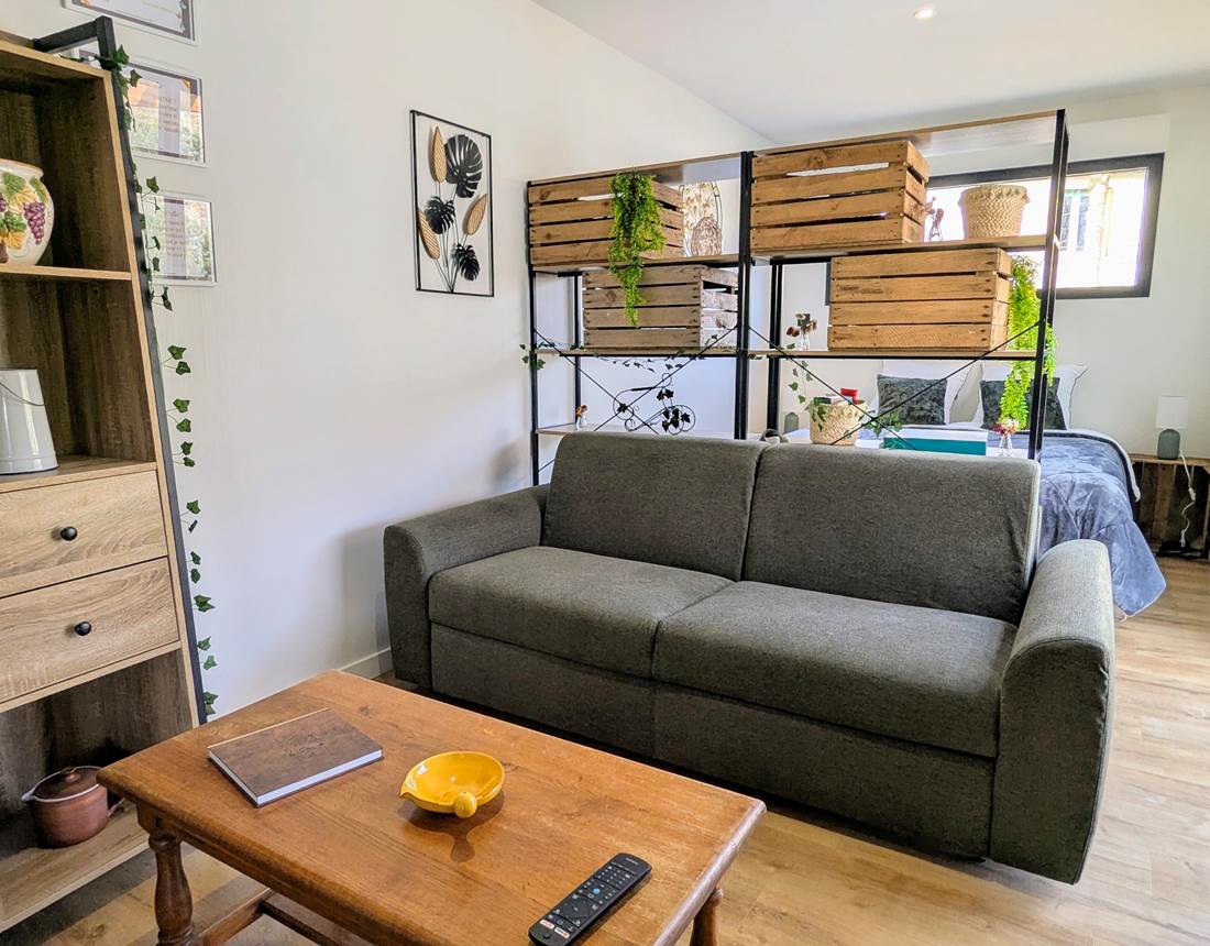 salon-tout-confort-avec-canapé-convertible