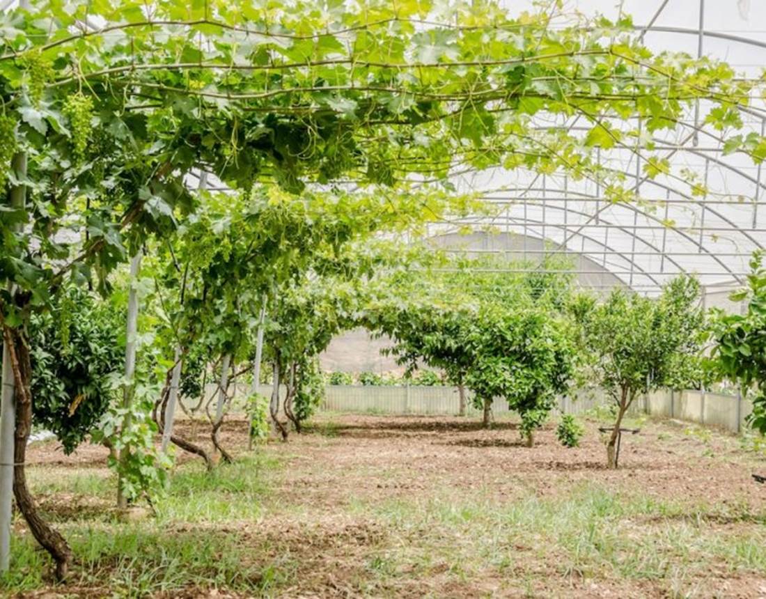 Villa Dolce Valle - Ragusa Etna