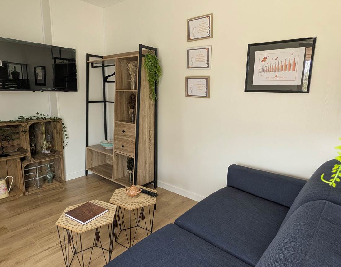 salon-tout-confort-avec-canapé-convertible