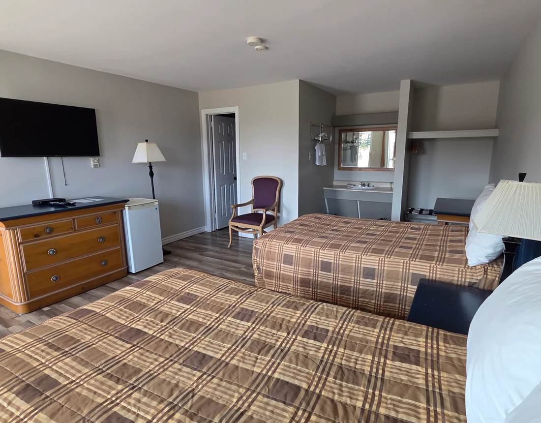 Chambre spacieuse avec 2 lits queen – animaux bienvenus