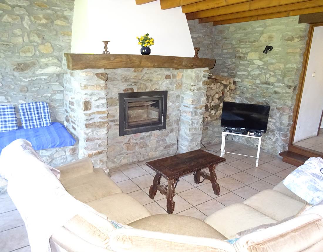 salon avec feu ouvert